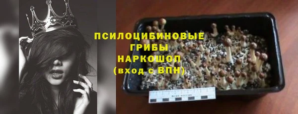 стаф Заводоуковск