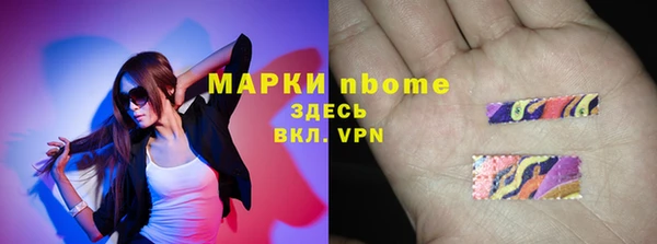 стаф Заводоуковск
