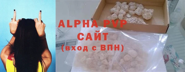 крисы Ростов