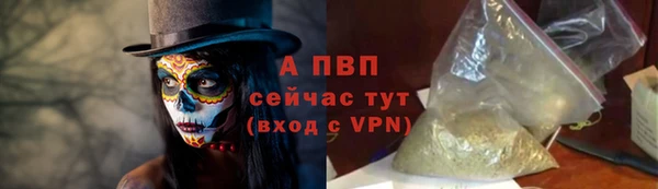стафф Новозыбков