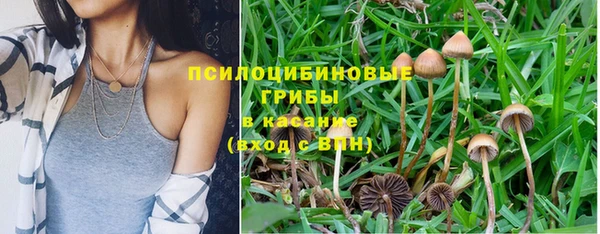 скорость mdpv Новодвинск