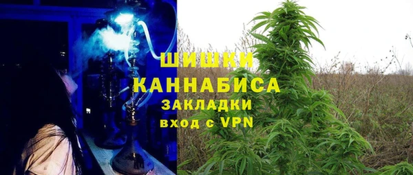 стаф Заводоуковск