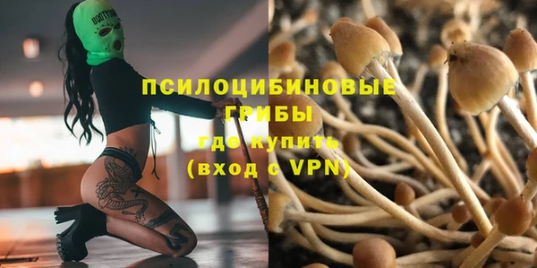 стаф Заволжск