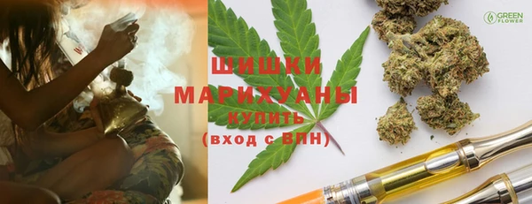 гидропоника Ельня
