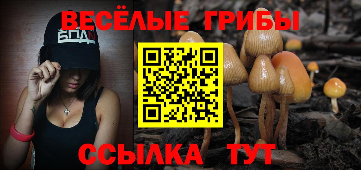 Радужный  Псилоцибиновые грибы GOLDEN TEACHER  Вход с VPN 